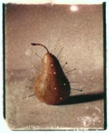 Prickly Pear | polaroid transfer on cotton paper