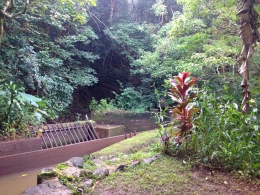 This is in my friend Satisha's backyard. This aqueduct goes through the mtns.